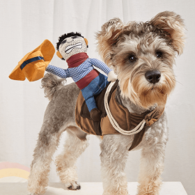 Cowboy Rider Costume for Small & Medium Dogs & Cats (Color: Mixed Color)