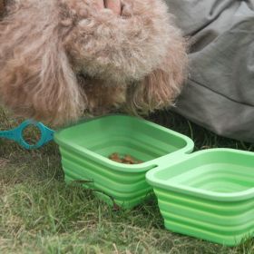 ALL4U Collapsible Silicone Double Dog Bowl with Clip (Color: Green)