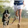 Hands-Free Waist Dog Leash with Dual Handles & Bungee