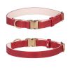 Soft Padded Leather Dog Collar with Metal Buckle