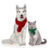 Knitted Teddy Bear Christmas Pet Scarf for Dogs & Cats