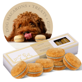 Bonne et Filou Handmade Dog Macarons - Box of 6 (Flavor: Peanut Butter)