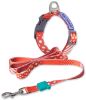Touchdog Trendzy 2-in-1 Printed Leash & Collar Set