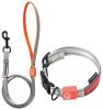 Touchdog Lumiglow USB LED Light-Up Leash & Collar