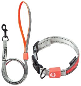 Touchdog Lumiglow USB LED Light-Up Leash & Collar (Color: grey, size: large)