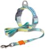 Touchdog Trendzy 2-in-1 Printed Leash & Collar Set