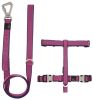 Pet Life Escapade 2-in-1 Convertible Leash & Harness