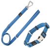 Pet Life Advent 3M Reflective Martingale Leash & Collar