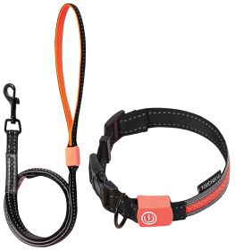 Touchdog Lumiglow USB LED Light-Up Leash & Collar (Color: black, size: small)