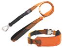 Pet Life Geo-prene Reflective Leash & Collar Set