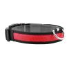 USB Rechargeable LED Dog Collar - Night Safety Light