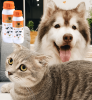 Lime Sulfur Pet Dip for Ringworm, Mange & Itchy Skin