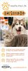 Lime Sulfur Pet Dip for Ringworm, Mange & Itchy Skin