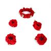 Huxley & Kent Jingle Bell Pet Collar Ruff & Paw Bells Set