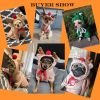 Hooded Plush Christmas Dog Winter Coat for Small Breeds