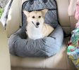 Pet Life Pawtrol Convertible Car Seat & Pet Bed