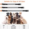 LED Light-Up Dog Collar - 9 Colors, IPX7 Waterproof