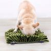 Pet Life Sniffer Grip Snuffle Mat with Suction Cups