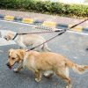 No-Tangle Double Dog Leash with Swivel Coupler & Padded Grip