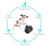 PawPartner Wobbling Tumbler Treat Dispenser Dog Toy