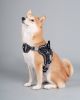 Dog Helios Scorpion Sporty Free-Range Dog Harness