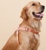 Touchdog Macaron 2-in-1 Nylon Harness & Leash