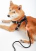 Touchdog Macaron 2-in-1 Nylon Harness & Leash