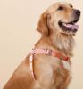 Touchdog Macaron Harness & Leash Set - Pink, Black, Purple