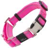 Pet Life Advent 3M Reflective Martingale Leash & Collar
