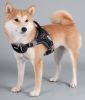 Dog Helios Scorpion Sporty Free-Range Dog Harness