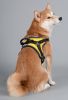 Dog Helios Scorpion Sporty Free-Range Dog Harness