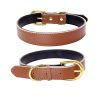 Genuine Leather Padded Wide Dog Collar - Waterproof