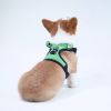 Frog Mesh Dog Harness & Leash Set for Small Breeds