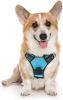 No-Pull Padded Dog Harness Vest with 2 Leash Clips