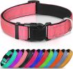 Reflective Neoprene Padded Nylon Dog Collar