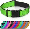 Reflective Neoprene Padded Nylon Dog Collar