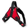 Escape-Resistant Dog Chest Harness with Traction Rope