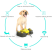 Paw-Activated Outdoor Dog Water Fountain & Sprinkler