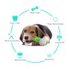 Natural Rubber Molar Chew Toothbrush for Dogs - Medium