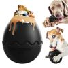 Rubber Dinosaur Egg Treat Dispensing Slow Feeder Toy