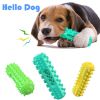 Natural Rubber Molar Chew Toothbrush for Dogs - Medium