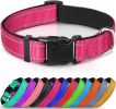Reflective Neoprene Padded Nylon Dog Collar