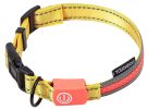 Touchdog Lumiglow USB LED Light-Up Leash & Collar