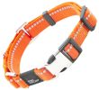 Pet Life Advent 3M Reflective Martingale Leash & Collar