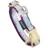 Touchdog Avery Embroidered Dog Collar & Leash Set