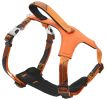 Pet Life Geo-prene Reflective Leash & Harness Set