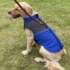 Waterproof Winter Dog Coat & Vest - S, M, L
