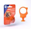 Paw Ready BiteBlock Finger Guard for Dog Teeth Brushing