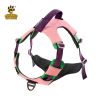 Adjustable Nylon Pet Chest Sling with Reinforced Leash