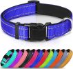 Reflective Neoprene Padded Nylon Dog Collar